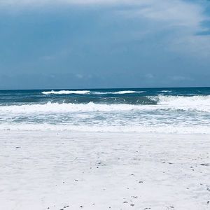 Meet your Posher, Bella